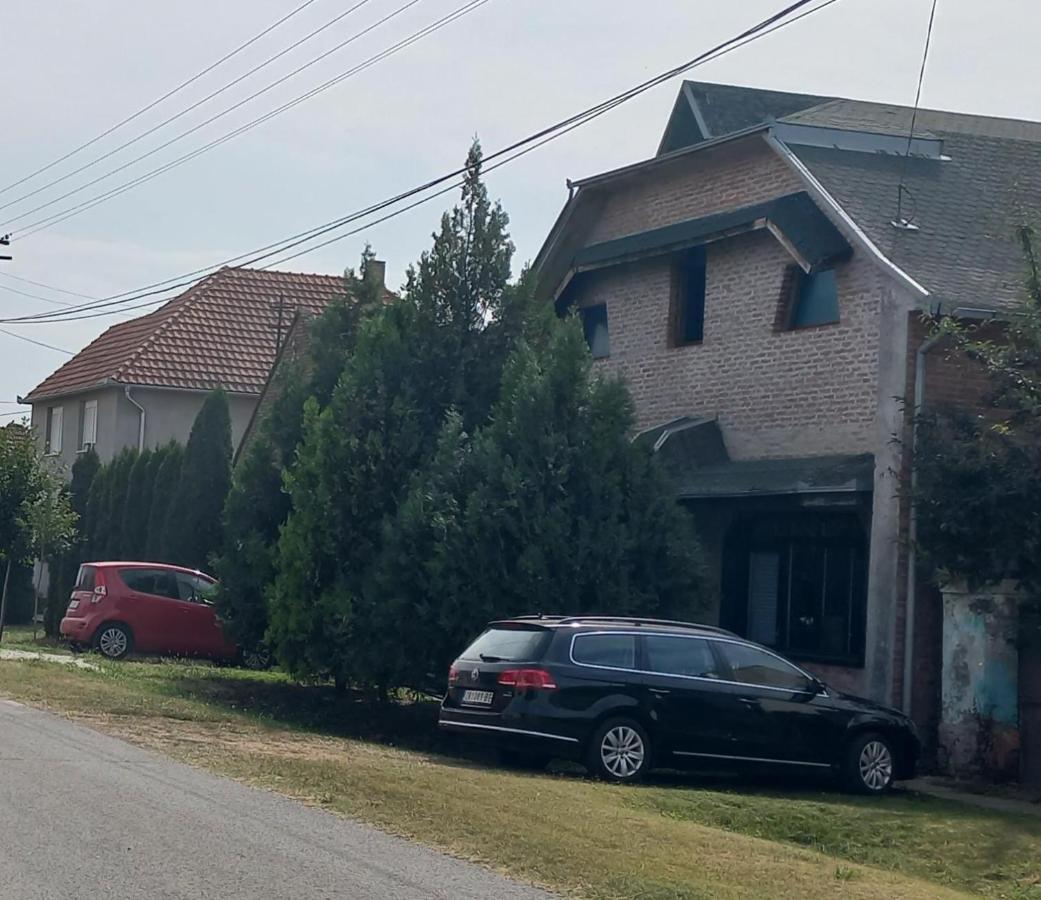 Kod Velikih Tuja Apartment Melenci Bagian luar foto