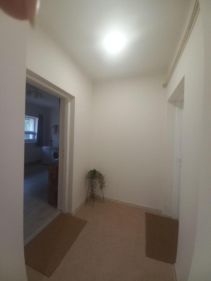 Kod Velikih Tuja Apartment Melenci Bagian luar foto