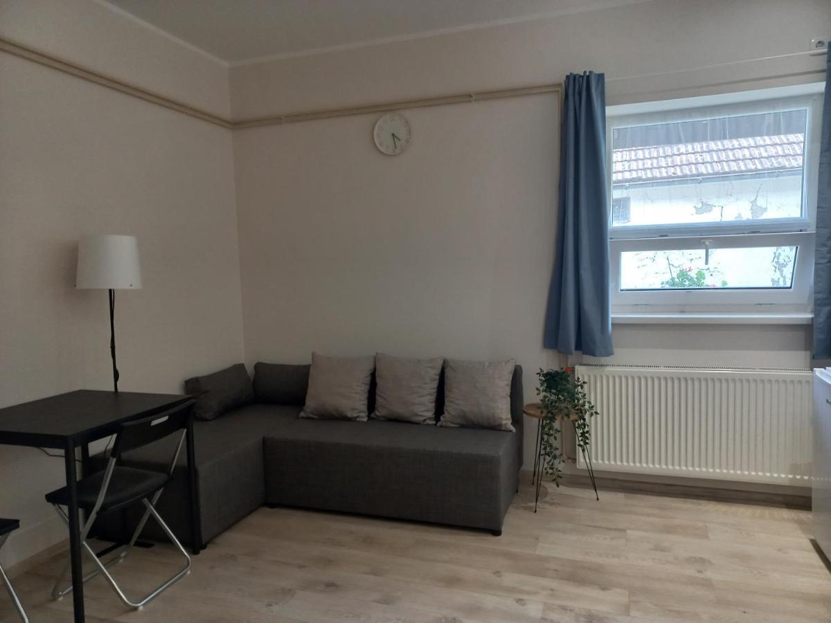Kod Velikih Tuja Apartment Melenci Bagian luar foto