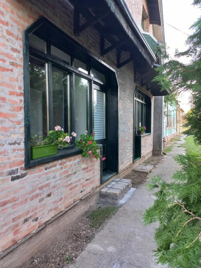 Kod Velikih Tuja Apartment Melenci Bagian luar foto